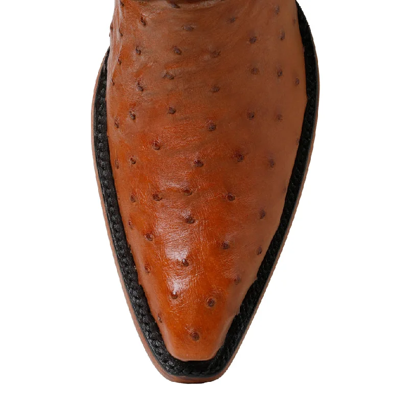 Ostrich Full Quill 14" - Brandy Mod Oxford Design  